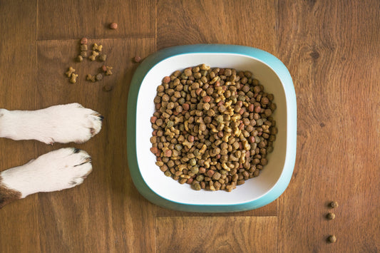 Recommendations on Avoiding Harmful Dog Food Ingredients.