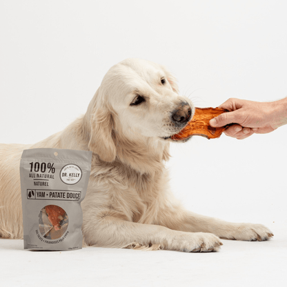 Dog and Pet Stuff 150g / 5.29 oz 4 Pack - Dr. Kelly The Vet 100% Natural Dog Treats - Yam