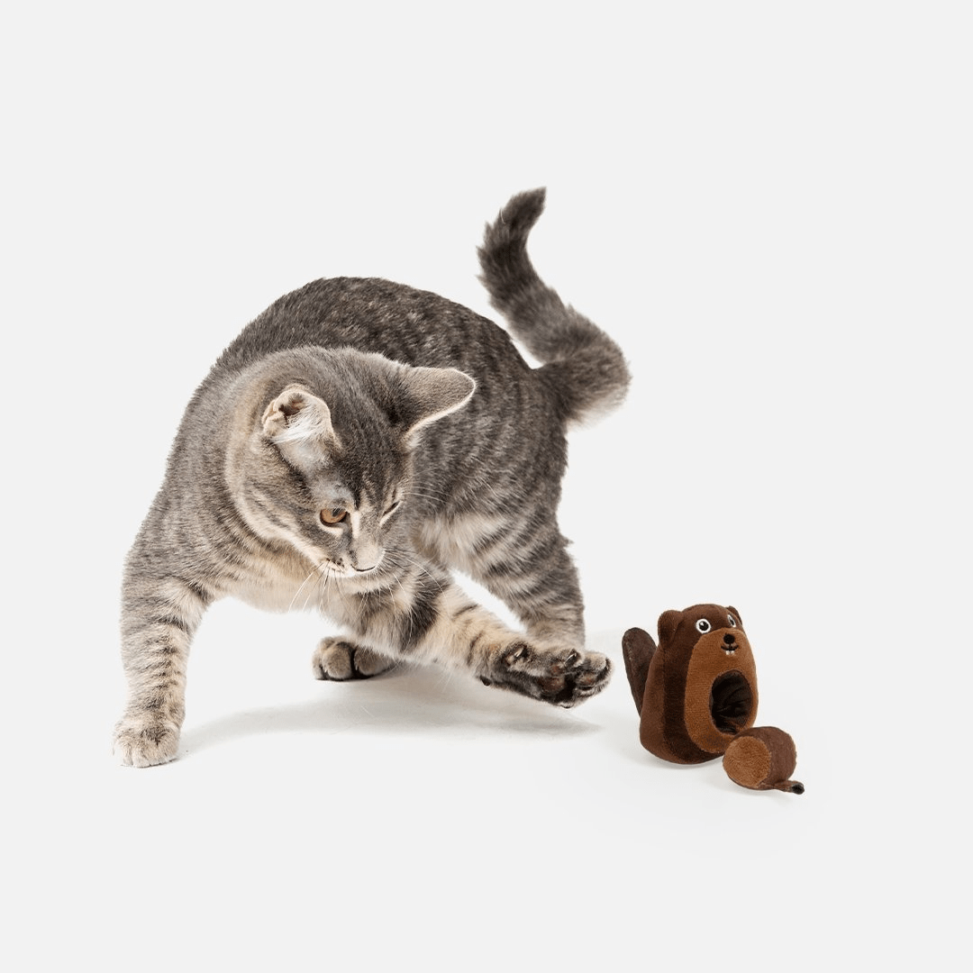 Dog and Pet Stuff 2-In-1 Beaver And Log Trunk Cat Toy