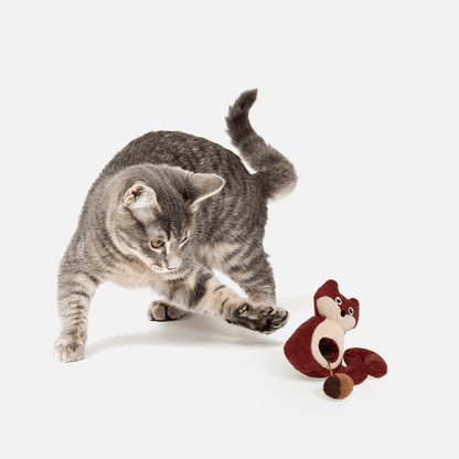 Dog and Pet Stuff 2-In-1 Squirrel And Nut Cat Toy