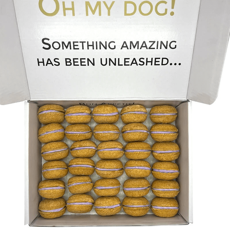 Dog and Pet Stuff 40 Count Dog Macaron Gift Box