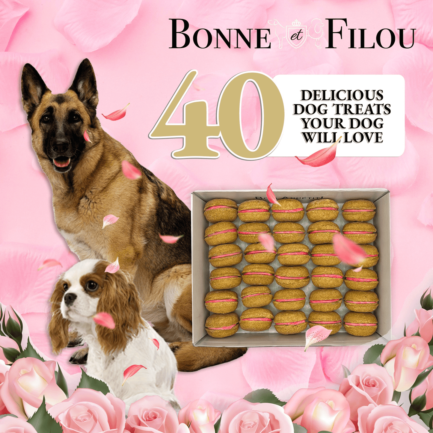 Dog and Pet Stuff 40 Count Dog Macaron Gift Box