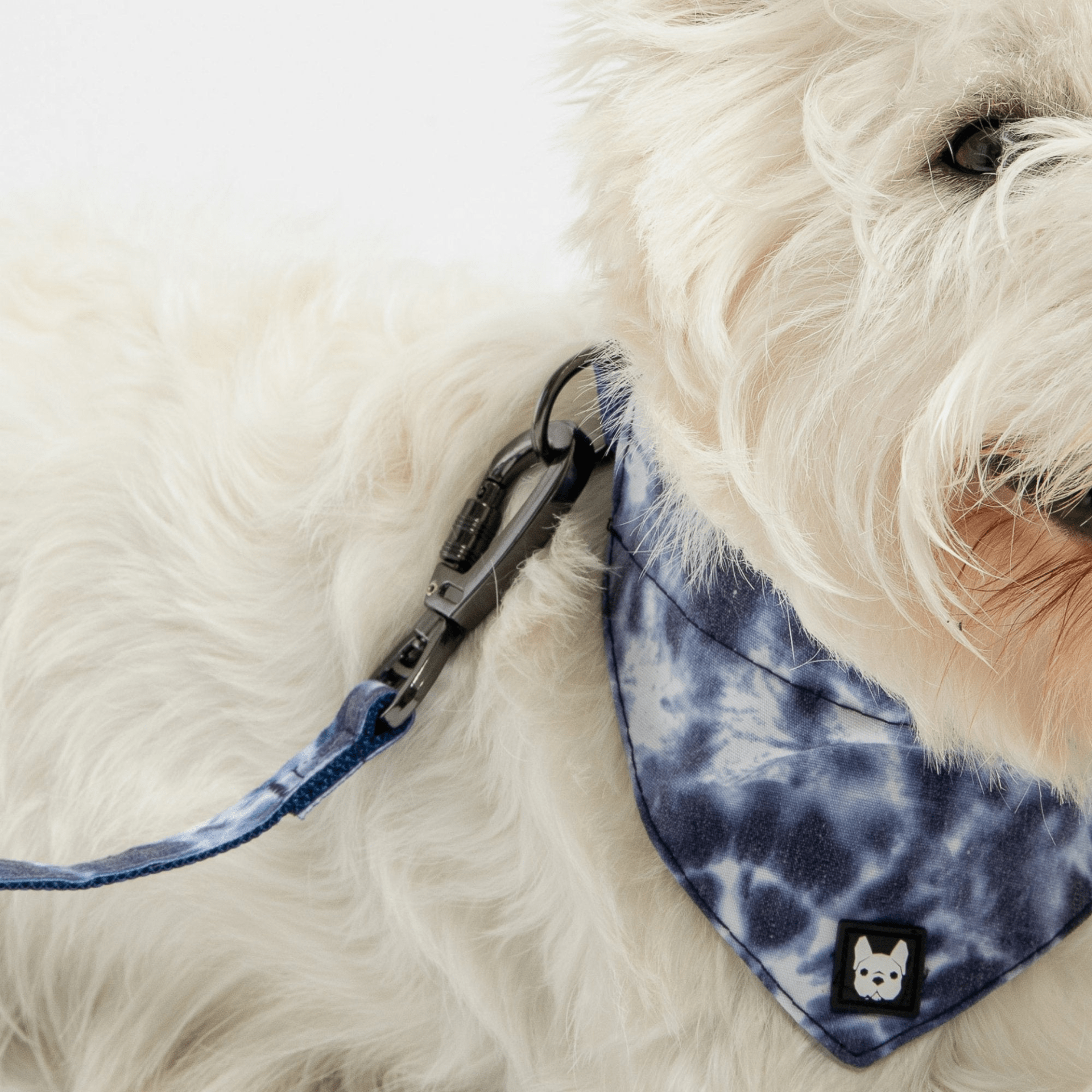 Dog and Pet Stuff 60'' x 1'' Poplin Dog Leash - Blue Tie Dye