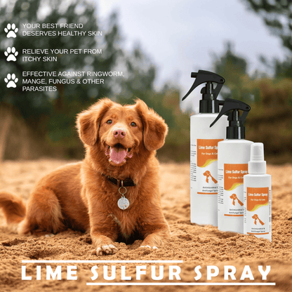 Dog and Pet Stuff 8 oz Shampoo and 8 oz Spray Lime Sulfur Pet Shampoo and Spray (8 oz each)