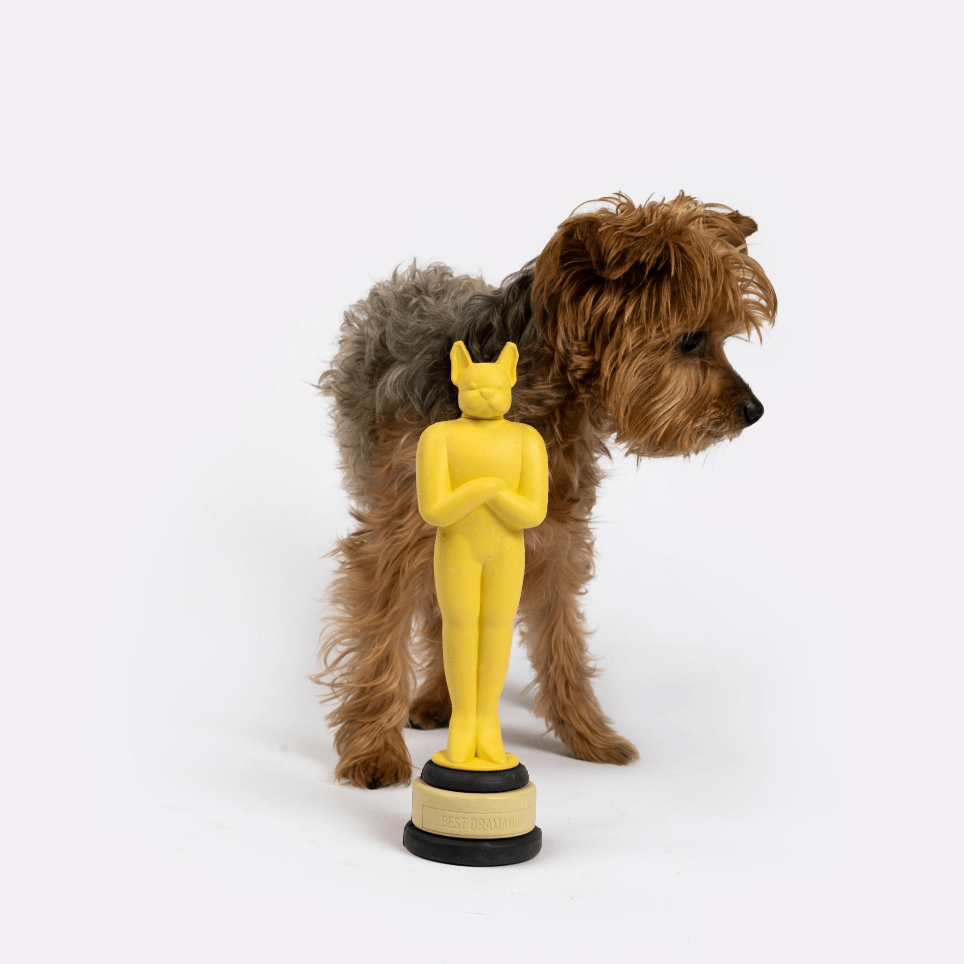 Dog and Pet Stuff Academy Award Dog Toy