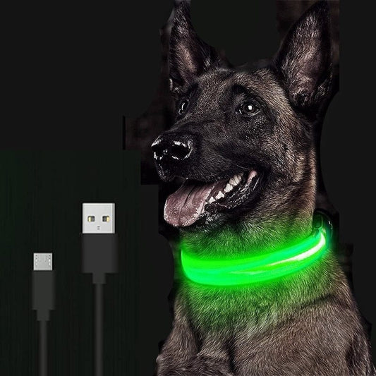 Dog and Pet Stuff Adjustable LED Pet Collar