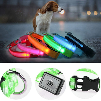 Dog and Pet Stuff Adjustable LED Pet Collar