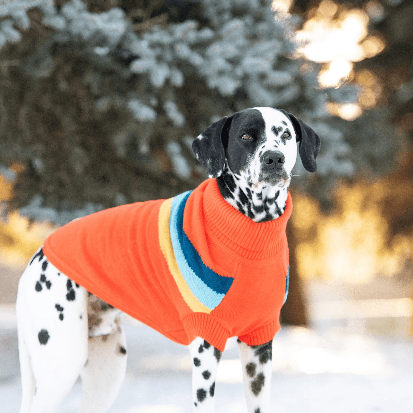 Dog and Pet Stuff Alpine Sweater - Orange