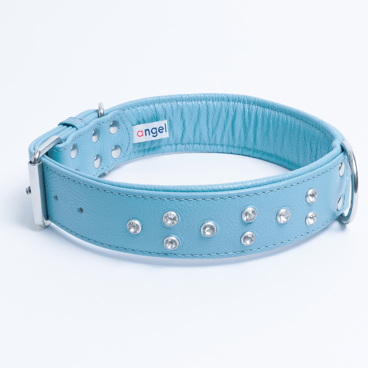 Dog and Pet Stuff Baby Blue / 24” x 1.5” Athens