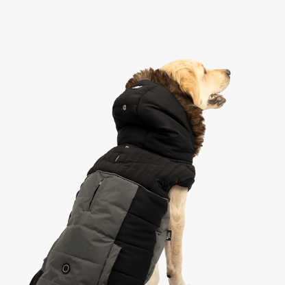 Dog and Pet Stuff Bailey Dog Jacket - Black