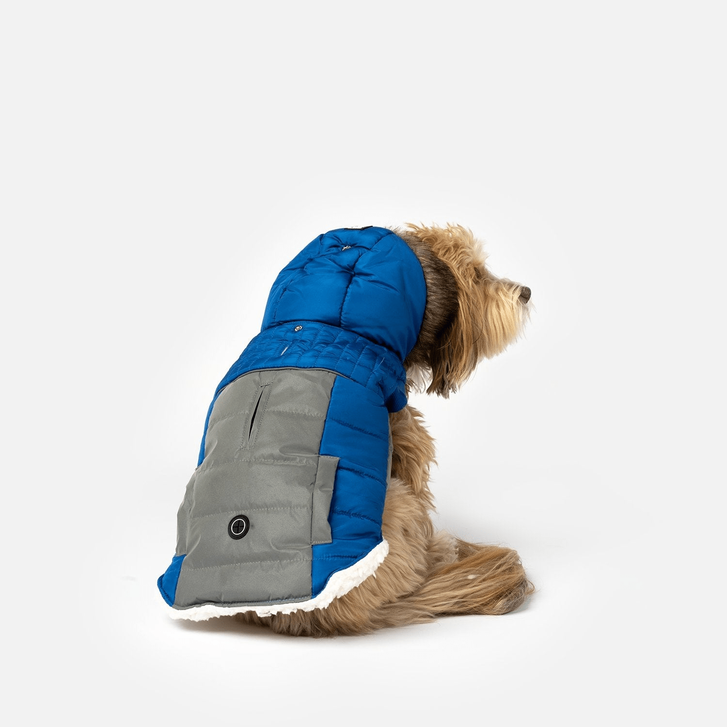 Dog and Pet Stuff Bailey Dog Jacket - Blue