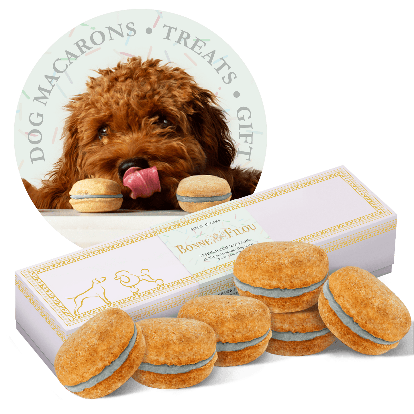 Dog and Pet Stuff Birthday Cake Dog Macarons (Box of 6)