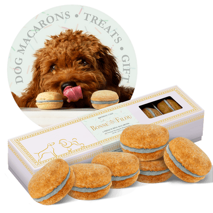 Dog and Pet Stuff Birthday Cake Dog Macarons (Count of 6 - window in packaging)