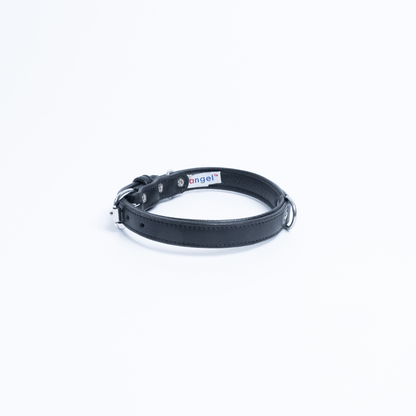 Dog and Pet Stuff Black / 16” x 3/4” Dallas  Collar