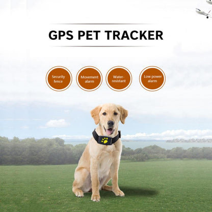 Dog and Pet Stuff Black / 1PC Pet GPS Tracker Collar
