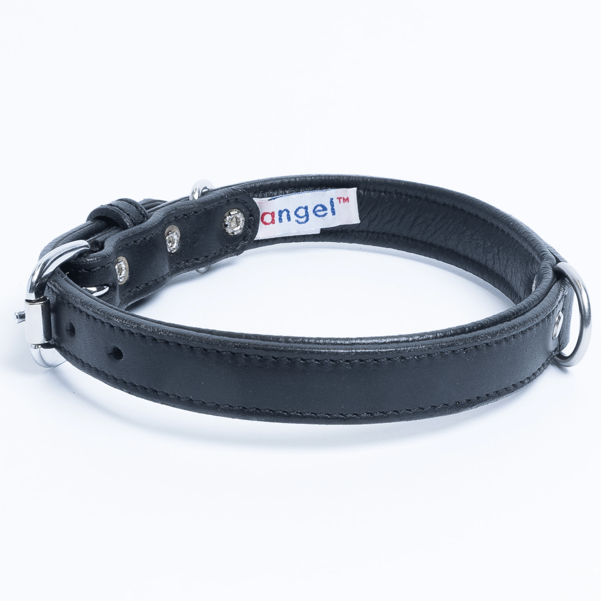 Dog and Pet Stuff Black / 20” x 1” Dallas  Collar