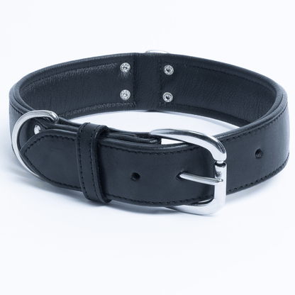 Dog and Pet Stuff Black / 22” x 1.5” Dallas  Collar