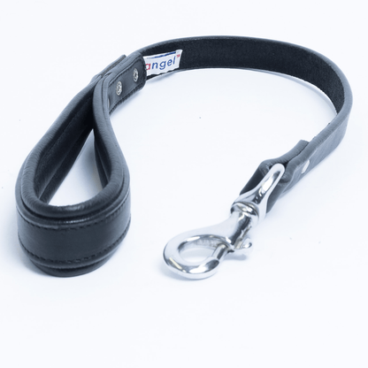 Dog and Pet Stuff Black / 24” x 3/4” Dallas Leash