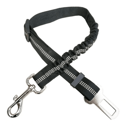 Dog and Pet Stuff Black Car Elastic Safety Leash