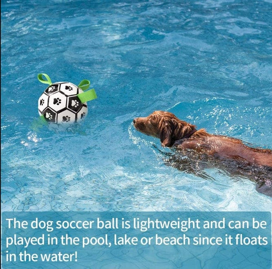 Dog and Pet Stuff Black / White Interactive Dog Football Toy