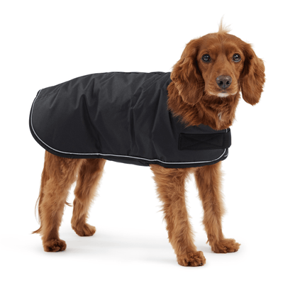 Dog and Pet Stuff Blanket Jacket - Black