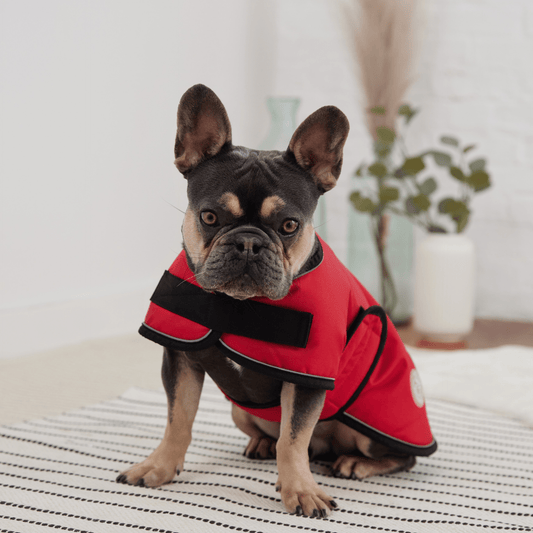 Dog and Pet Stuff Blanket Jacket - Red