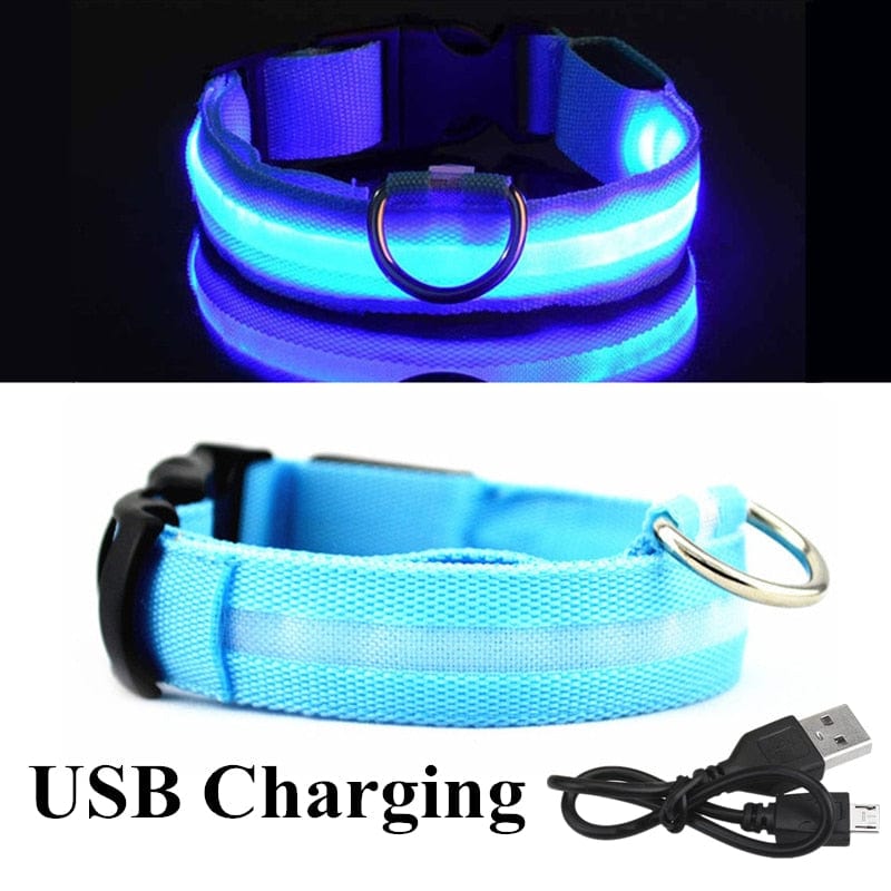 Dog and Pet Stuff Blue-1 / L Adjustable LED Pet Collar