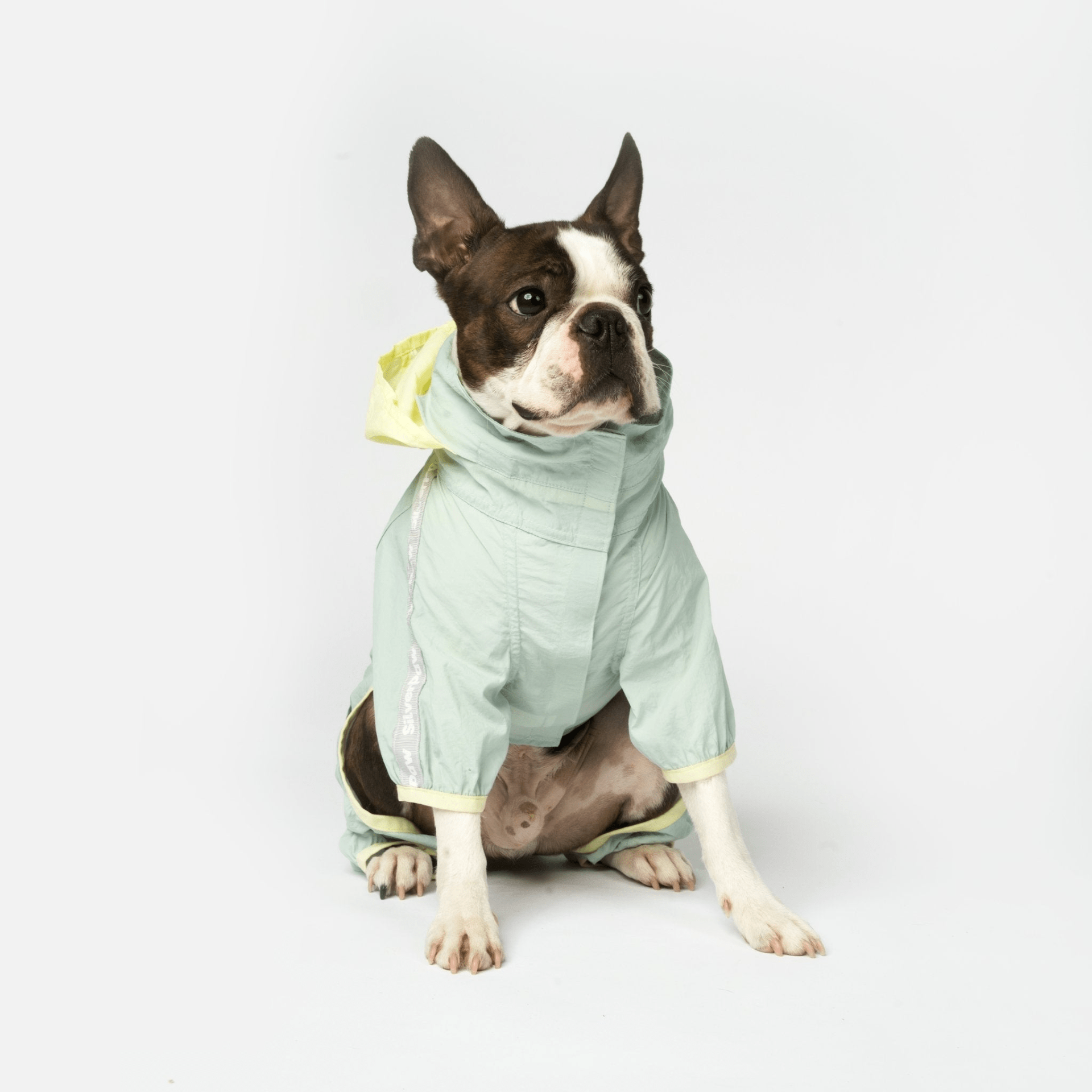Dog and Pet Stuff Bobbi - 2 Piece Splash Suit