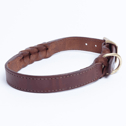 Dog and Pet Stuff Braided Collar