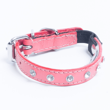 Dog and Pet Stuff Bubblegum Pink / 10” x 1/2” Athens Cat Collars