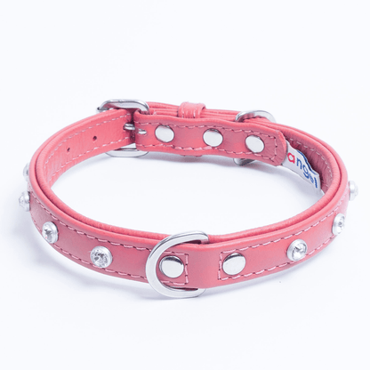 Dog and Pet Stuff Bubblegum Pink / 16” x 3/4” Athens