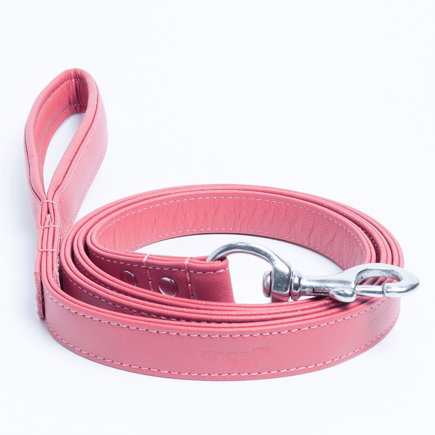 Dog and Pet Stuff Bubblegum Pink / 72” x 1” Alpine Leash