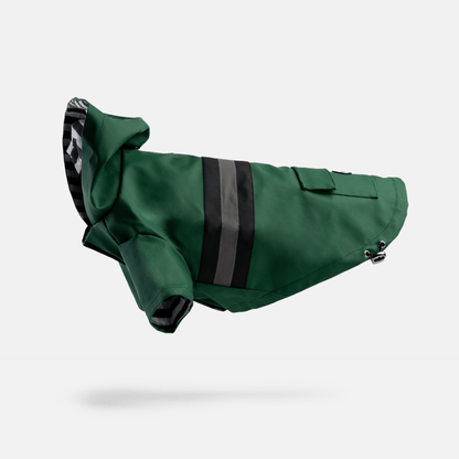 Dog and Pet Stuff Bundle Aden Dog Raincoat - Green + Life Jacket