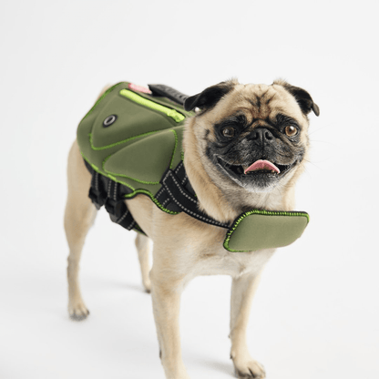 Dog and Pet Stuff Bundle Aden Dog Raincoat - Green + Life Jacket