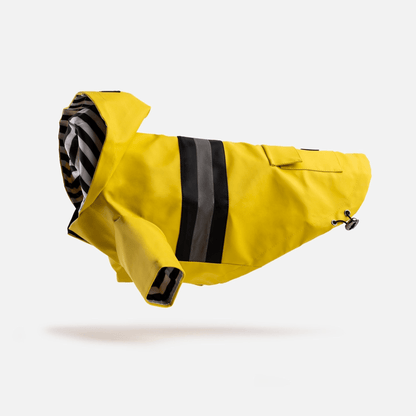 Dog and Pet Stuff Bundle Aden Dog Raincoat - Yellow + Life Jacket