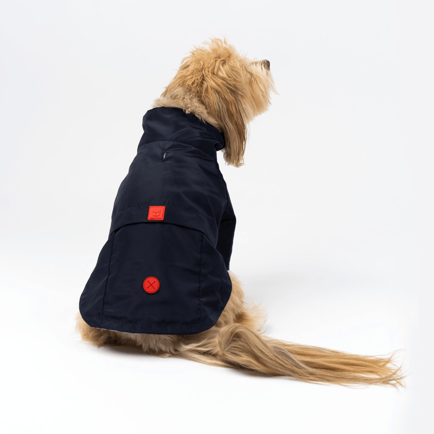 Dog and Pet Stuff Bundle Jean-Paul Dog Raincoat + Life Jacket