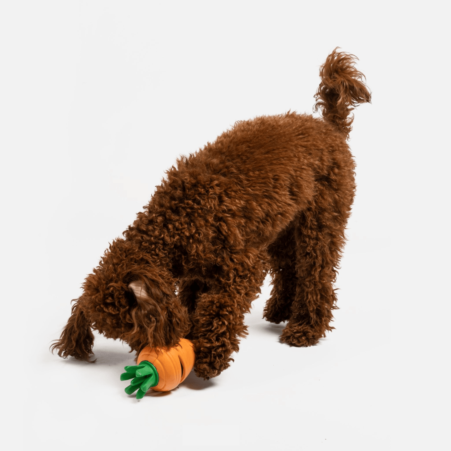 Dog and Pet Stuff Carrot Dog Toy