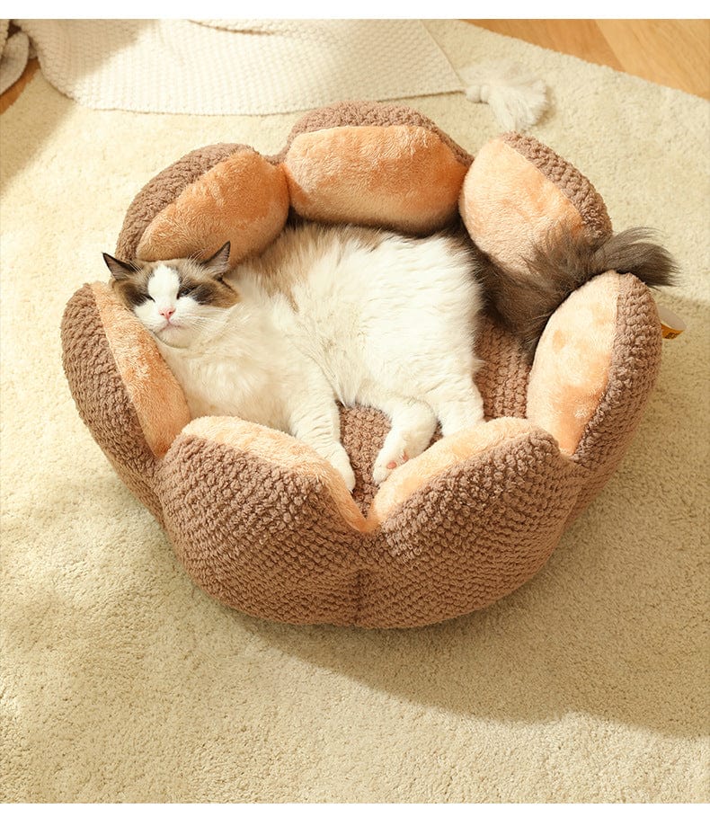 Dog and Pet Stuff Cat Bed Warm Cactus Petal Pet Nest
