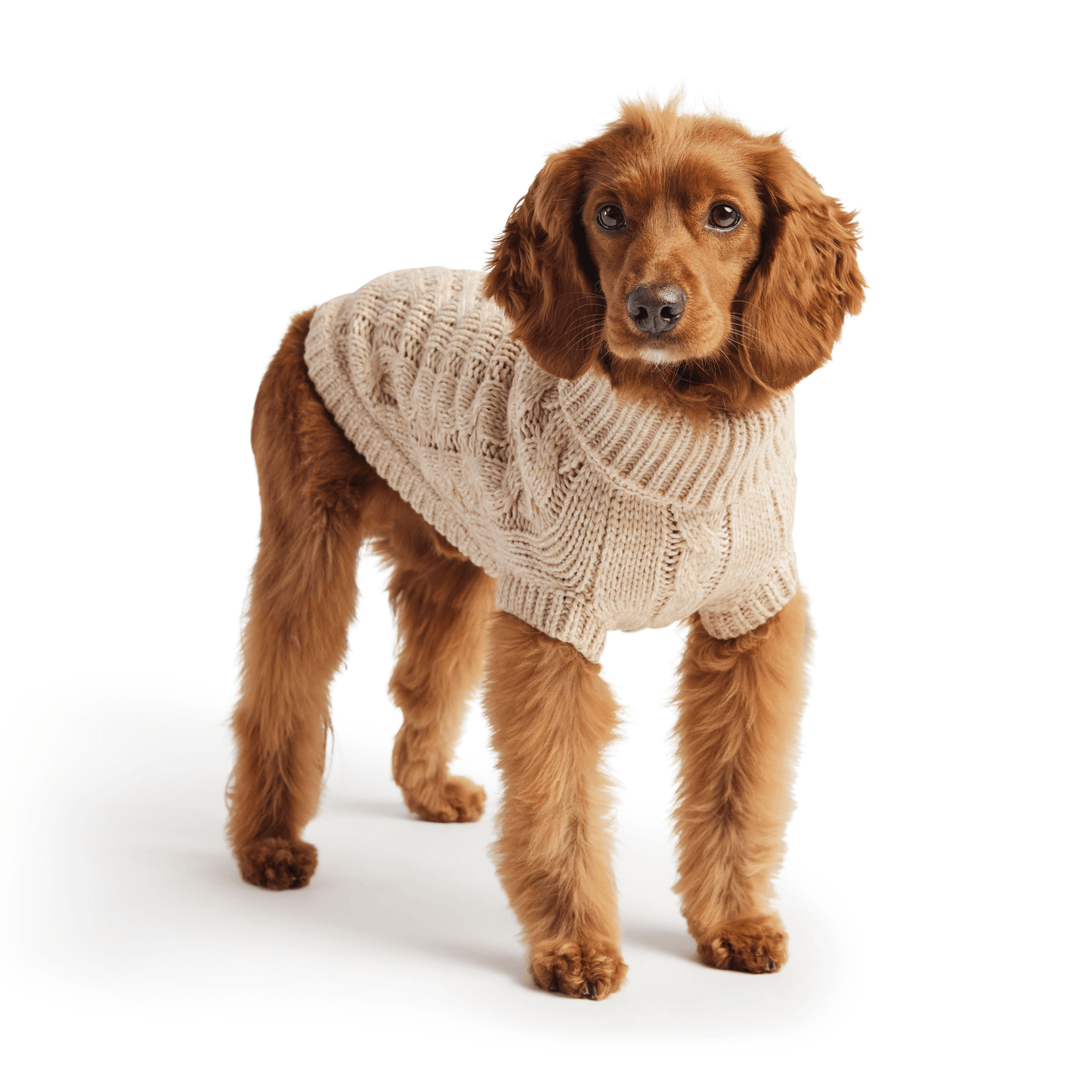 Dog and Pet Stuff Chalet Sweater - Oatmeal