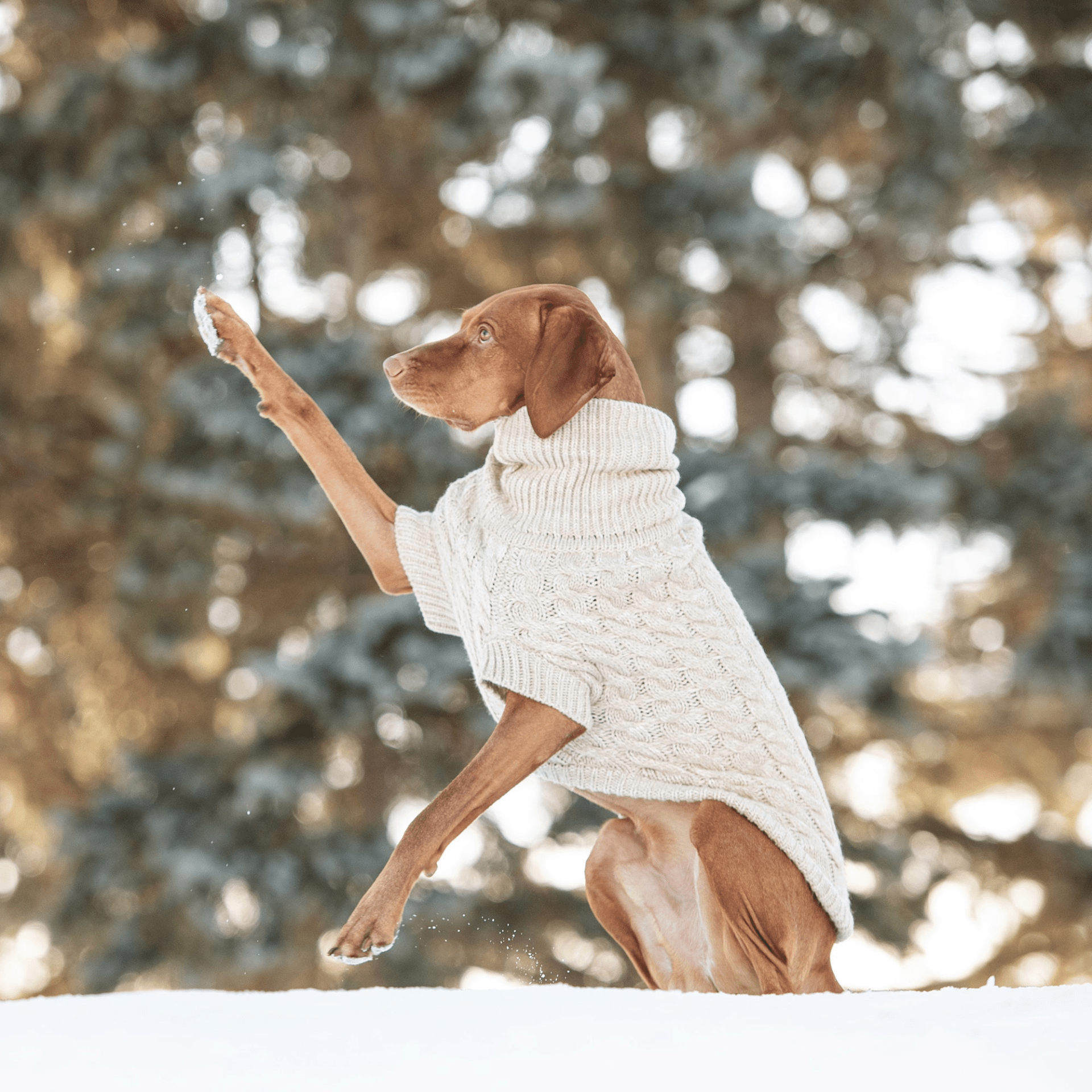 Dog and Pet Stuff Chalet Sweater - Oatmeal
