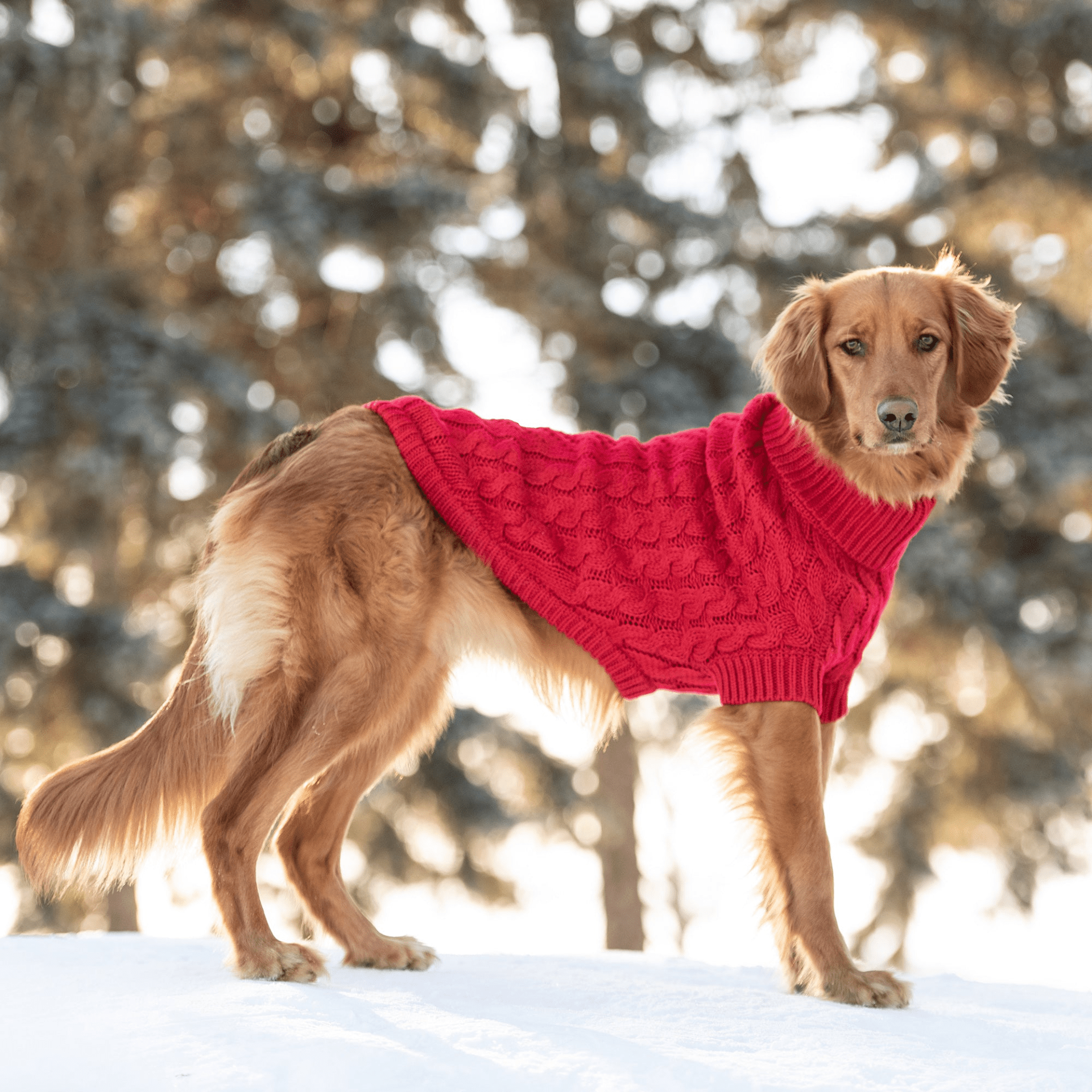 Dog and Pet Stuff Chalet Sweater - Red