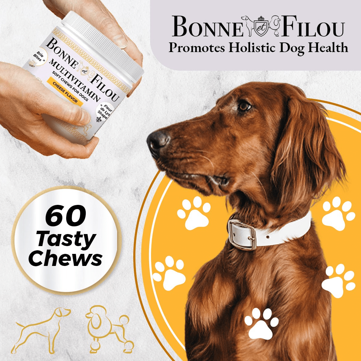 Dog and Pet Stuff Cheese Flavor "Brie Bites" Multivitamin Soft Chews for Dogs (Cheese Flavor - 60 chews)