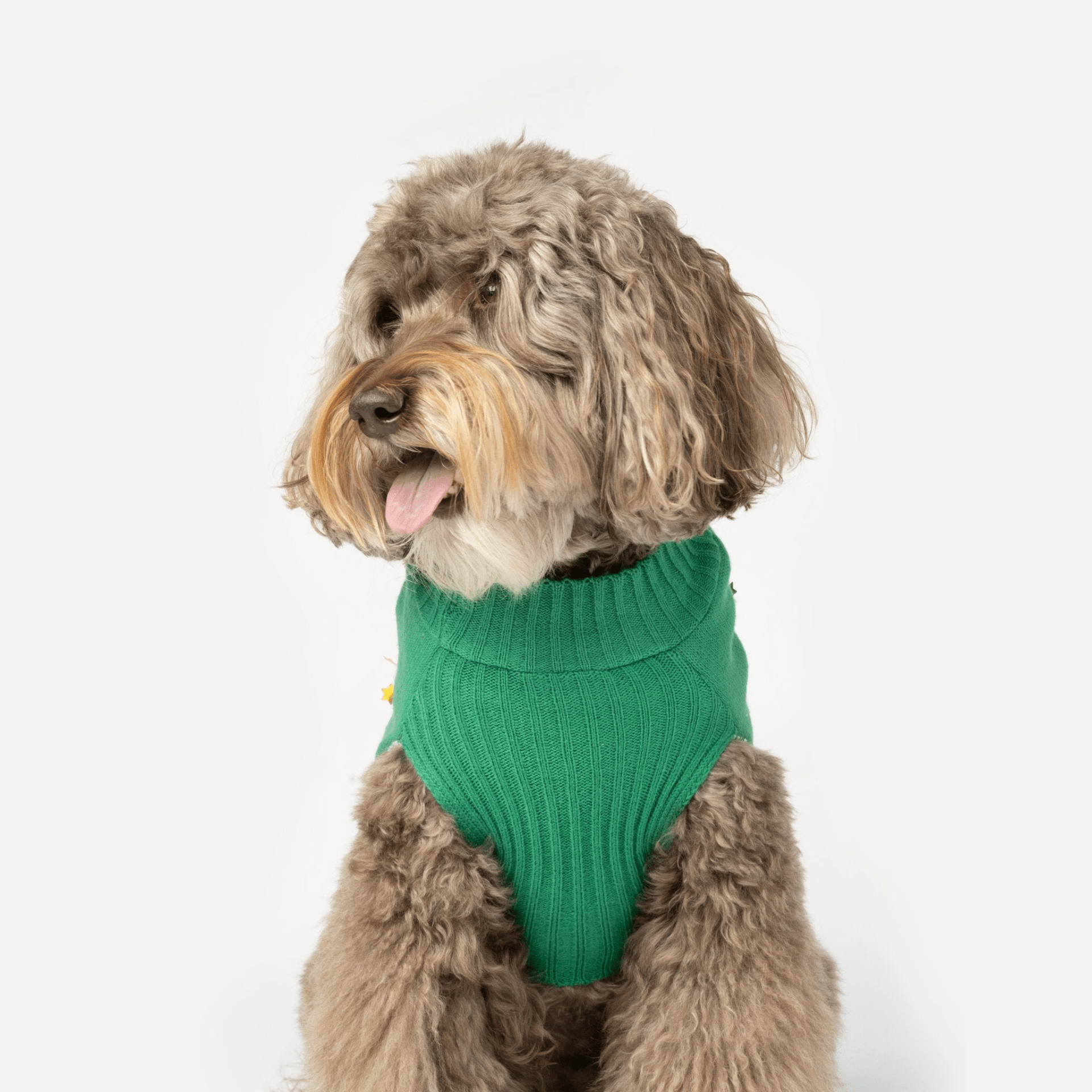 Dog and Pet Stuff Christmas Dog Sweater