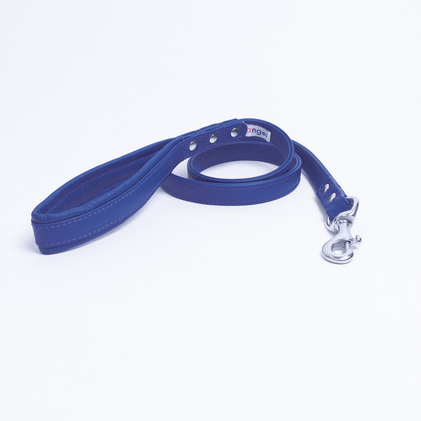 Dog and Pet Stuff Cobalt Blue / 48" x 3/4" Alpine Leash