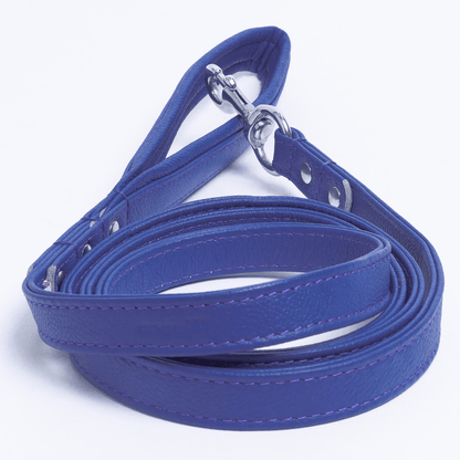 Dog and Pet Stuff Cobalt Blue / 72” x 3/4” Alpine Leash
