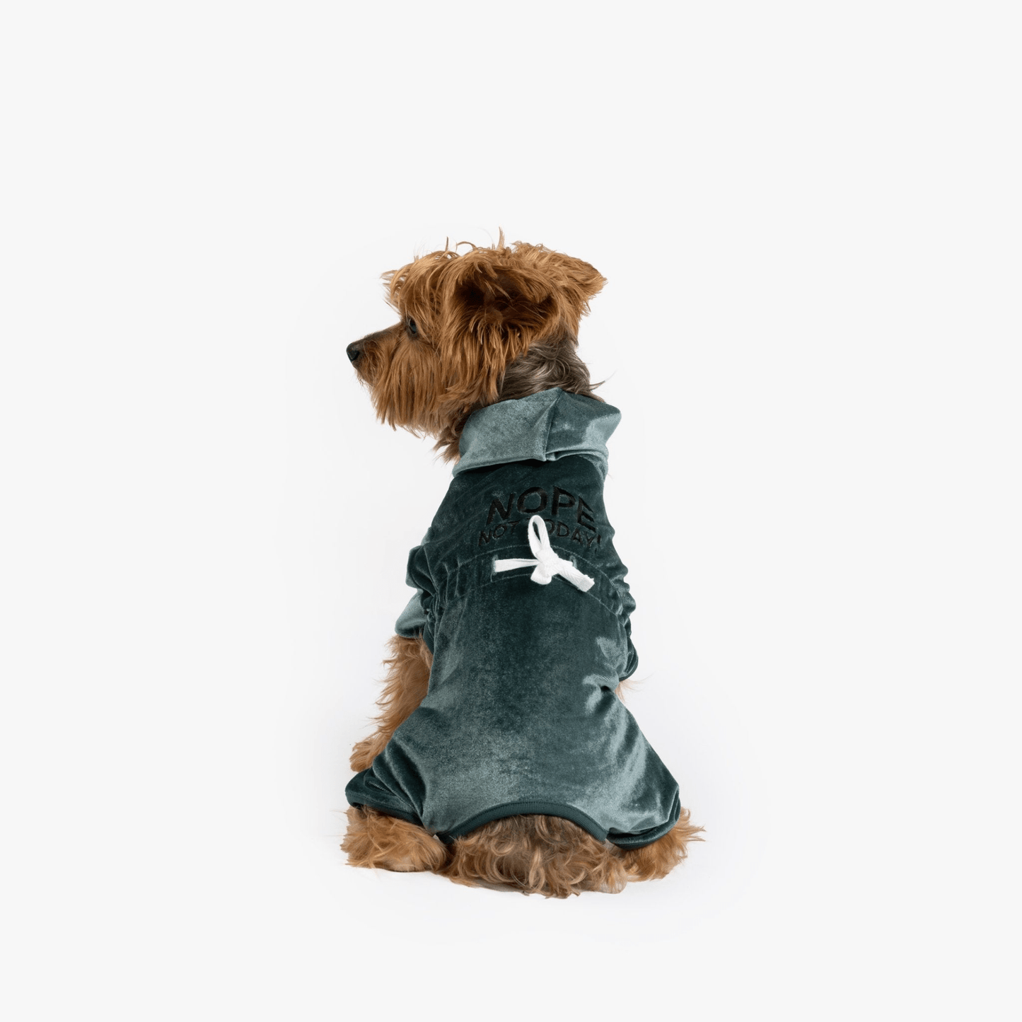 Dog and Pet Stuff Coco Velour Pjs - Teal