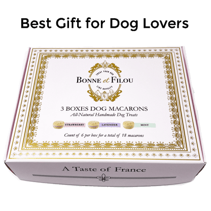 Dog and Pet Stuff Combo Gift Pack of 3-Boxes Dog Macarons