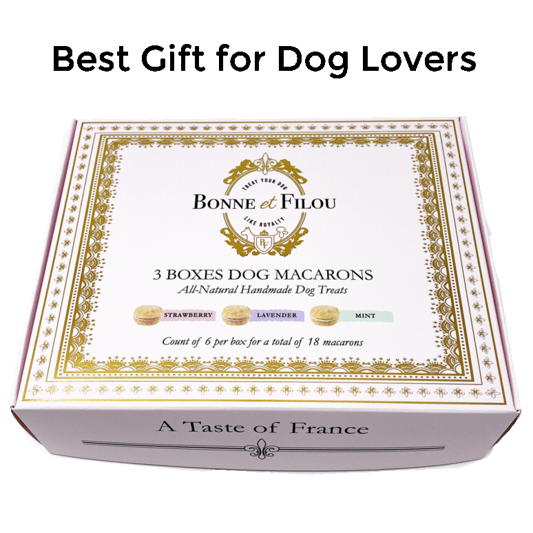 Dog and Pet Stuff Combo Gift Pack of 3-Boxes Dog Macarons