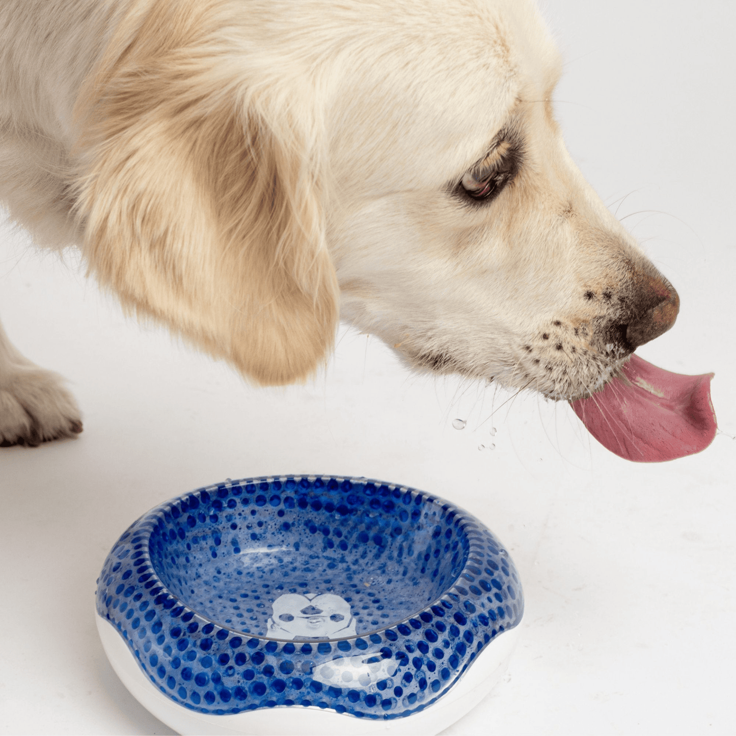 Dog and Pet Stuff Compact Cooling Dog Bowl