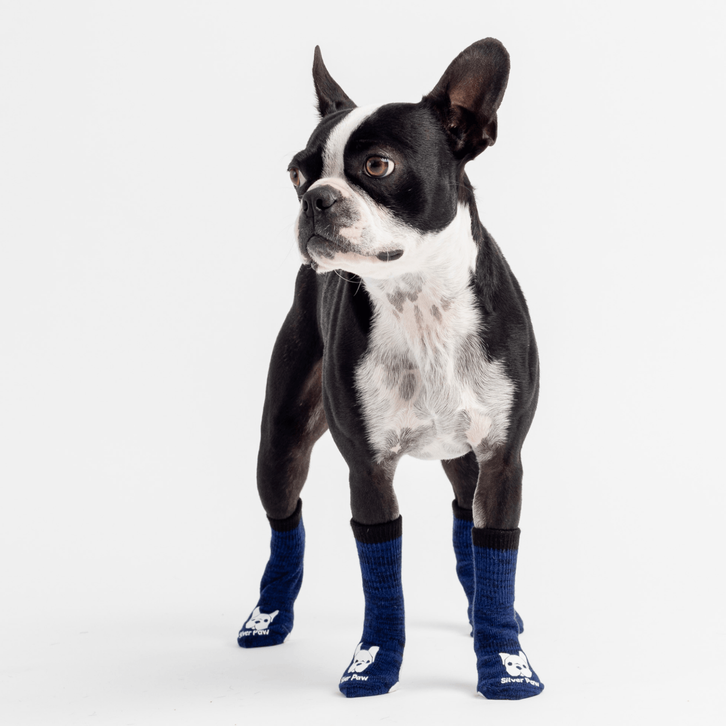 Dog and Pet Stuff Compression Dog Socks - Blue